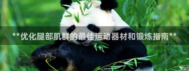 意昂体育3招商电话号码是多少啊：**优化腿部肌群的最