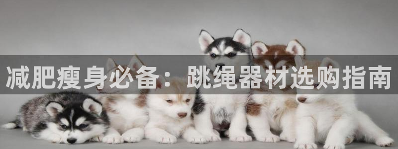 意昂3娱乐40996：减肥瘦身必备：跳绳器材选购指南