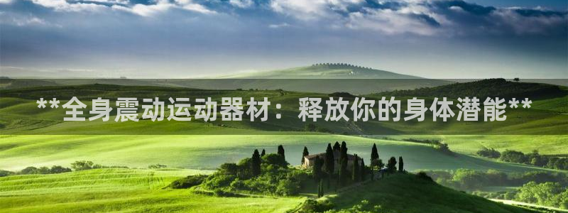 意昂体育3平台注册：**全身震动运动器材：释放你的身