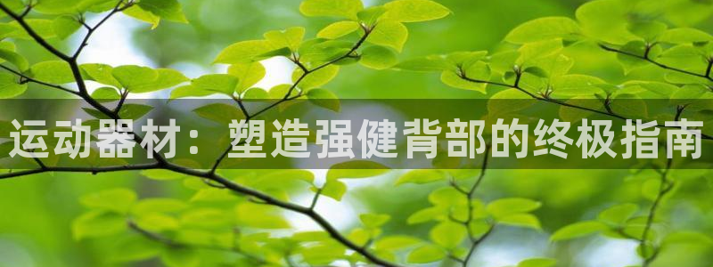 意昂3集团E.ON：运动器材：塑造强健背部的终极指南