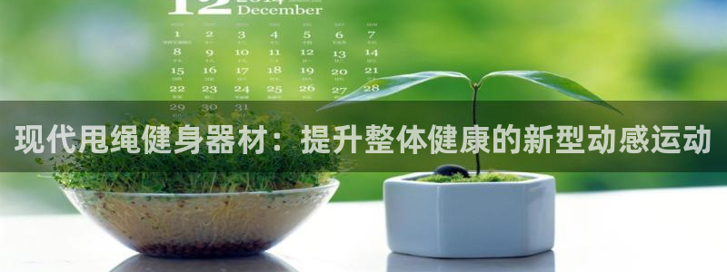意昂体育3是干嘛的公司：现代甩绳健身器材：提升整体健
