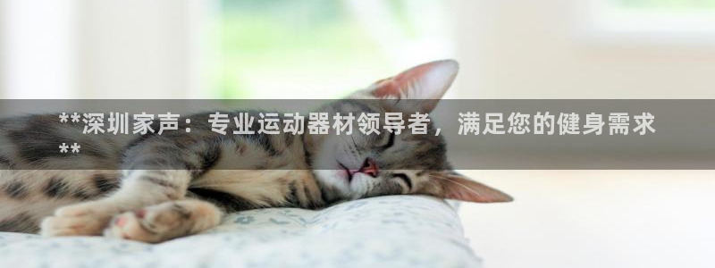 意昂3娱乐下载：**深圳家声：专业运动器材领导者，满