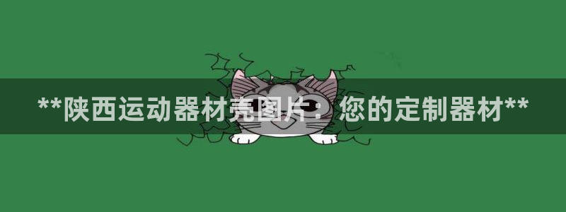 意昂体育3招商电话是多少啊：**陕西运动器材壳图片：