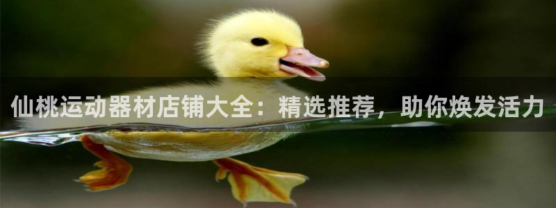 意昂3娱乐40996：仙桃运动器材店铺大全：精选推荐
