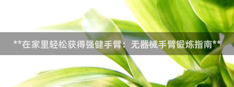海南意昂体育3：**在家里轻松获得强健手臂：无器械手