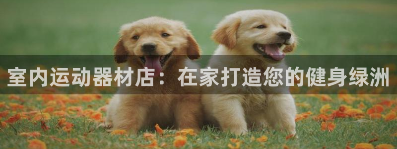 意昂体育3平台注册流程视频：室内运动器材店：在家打造