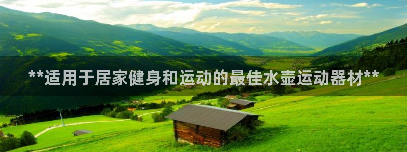 意昂3娱乐下载：**适用于居家健身和运动的最佳水壶运