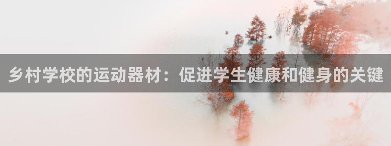 意昂体育3软件：乡村学校的运动器材：促进学生健康和健