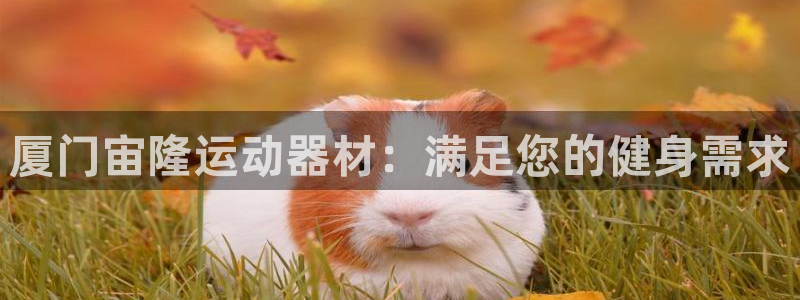意昂体育3招商电话是多少啊