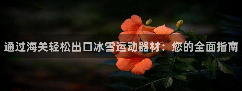 意昂体育3平台APP：通过海关轻松出口冰雪运动器材：