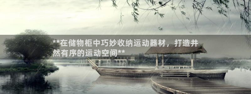 意昂3娱乐40996：**在储物柜中巧妙收纳运动器材