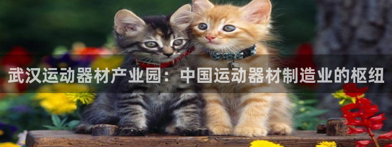 意昂体育3招商电话是多少啊：武汉运动器材产业园：中国运动器材
