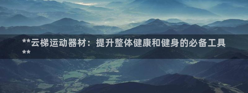 意昂体育3娱乐：**云梯运动器材：提升整体健康和健身