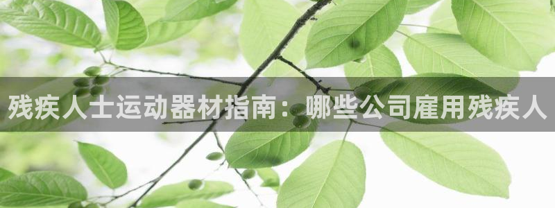 意昂体育3开户：残疾人士运动器材指南：哪些公司雇用残
