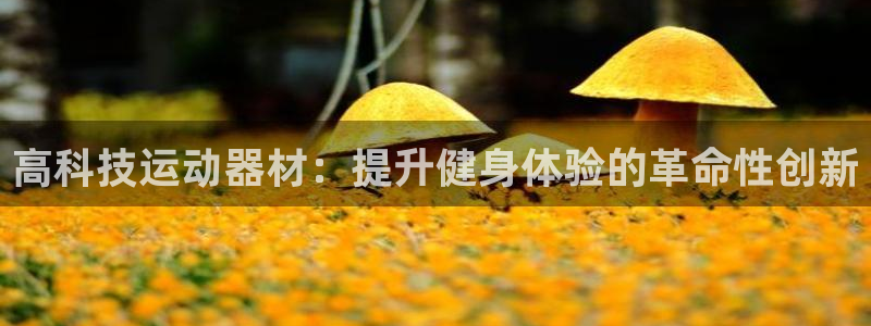 意昂体育3平台注册要钱吗：高科技运动器材：提升健身体
