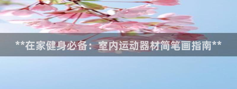 意昂3集团：**在家健身必备：室内运动器材简笔画指南