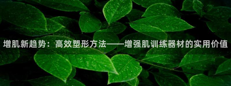 意昂平台体育