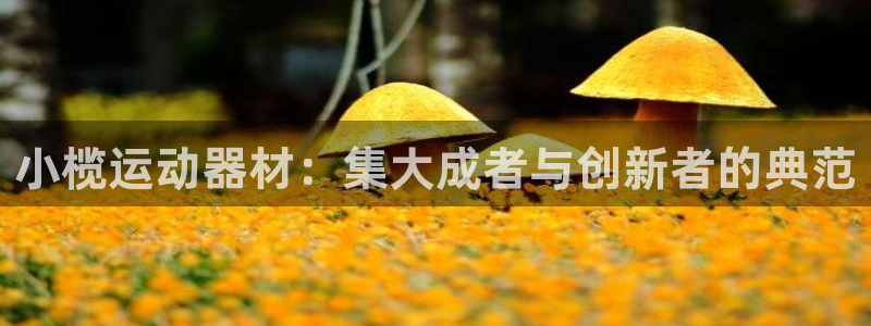 意昂体育3平台假的吗是真的吗