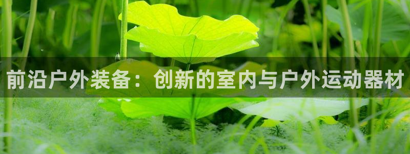 德国意昂3集团