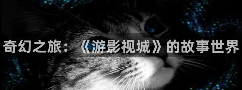 殇情影院6080