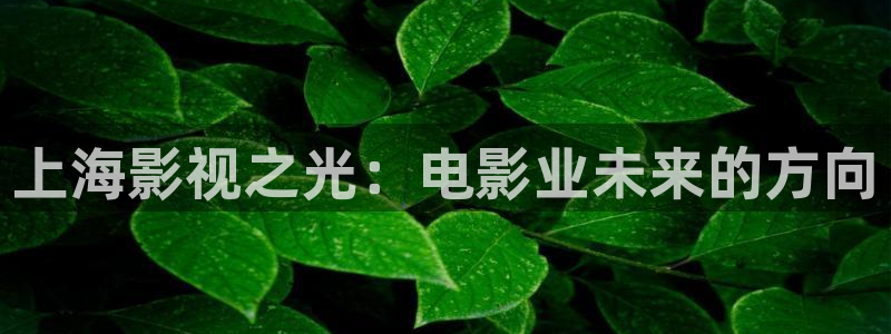 殇情私人影院