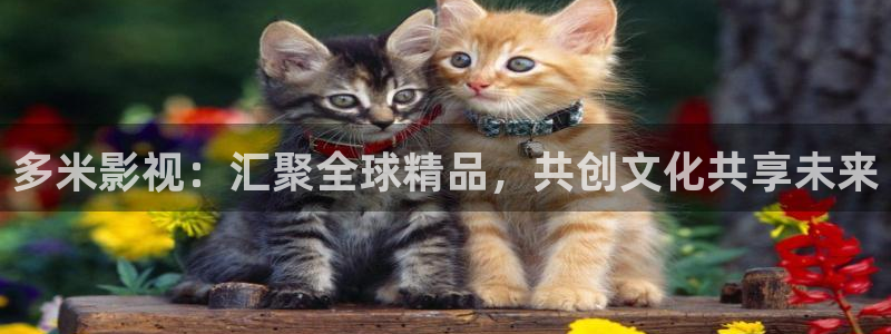 青苹果殇情影院