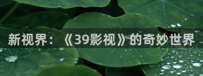 4480殇情影院