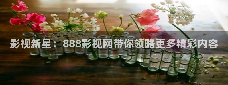 殇情影院理论
