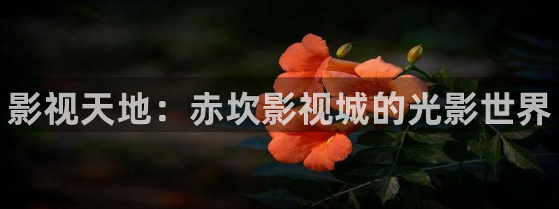 yy6029高清影院殇情影院