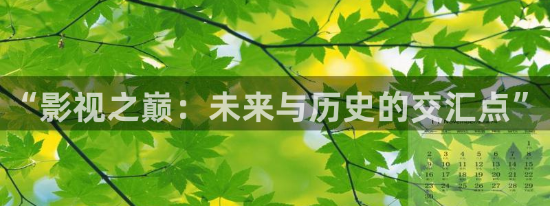 殇情影院yy6080